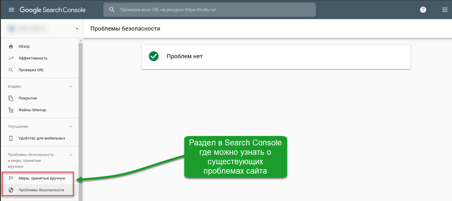 Скриншот: Аудит настроек сайта для поисковых систем